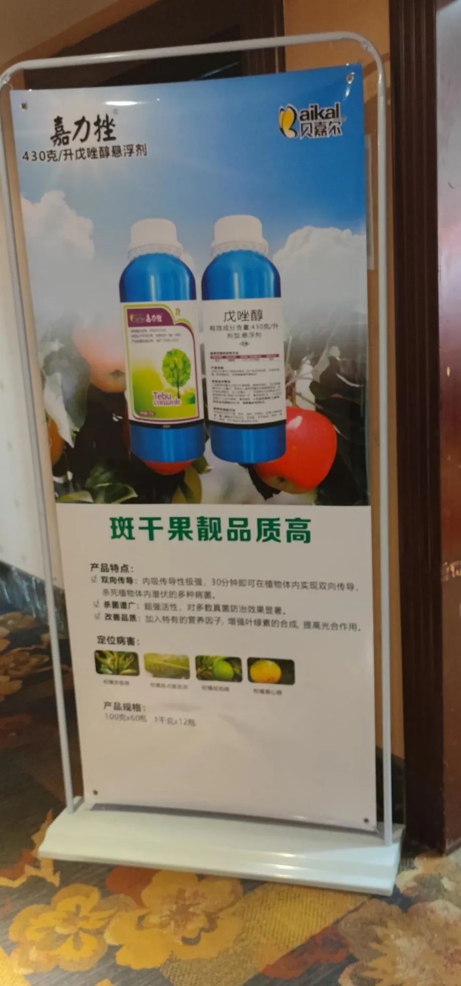 a22b4e877a93deda640dafa1a2d1f2b0.jpg