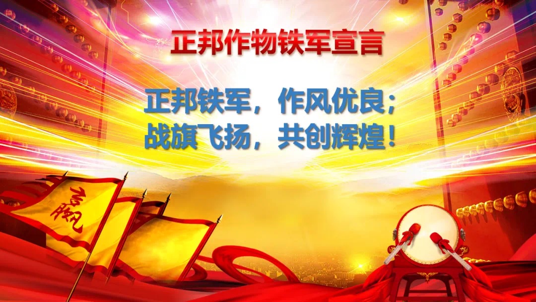 9ee6da66-a645-4879-8f9a-766f55abfabd.jpg