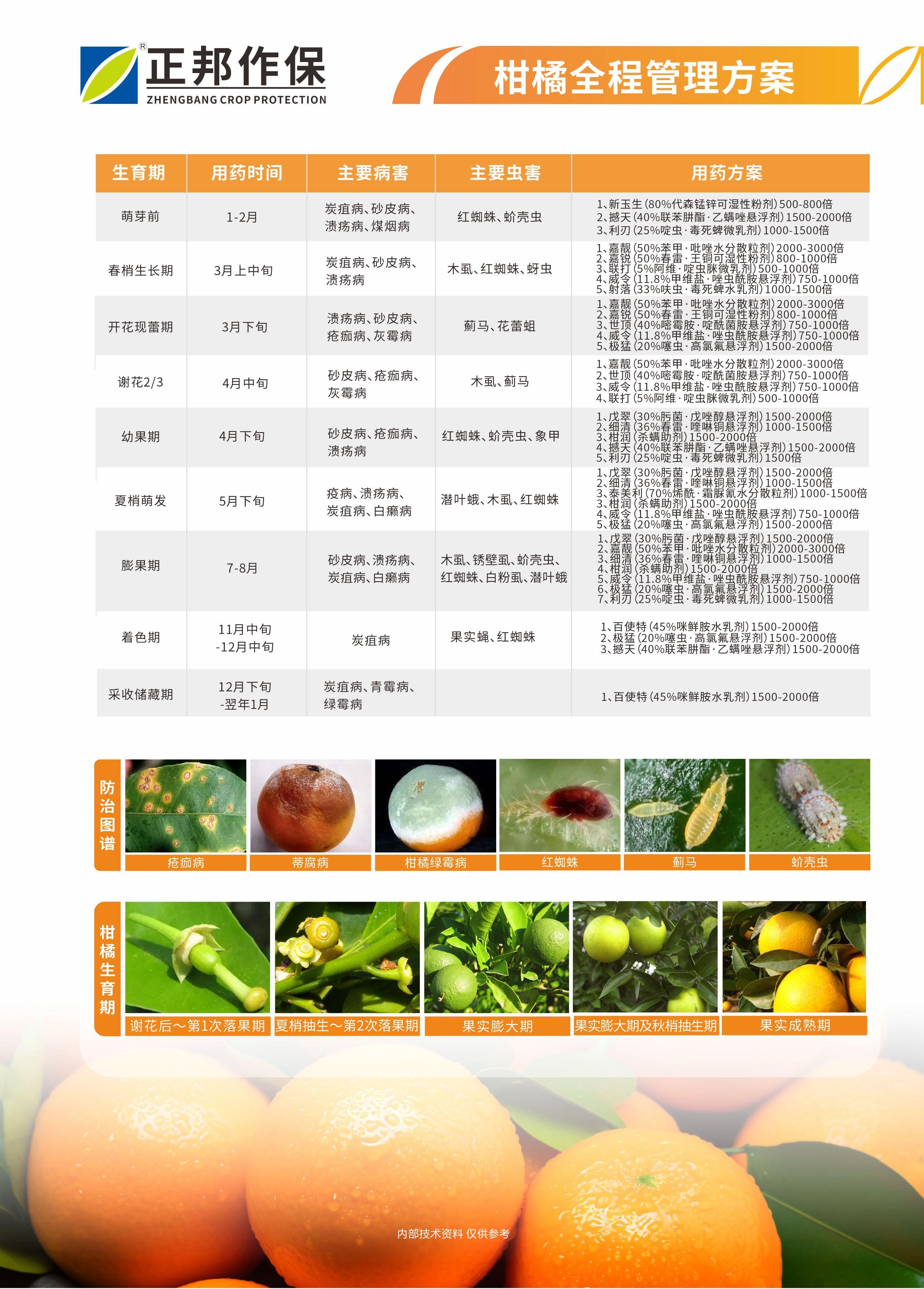 柑橘全程管理方案.jpg
