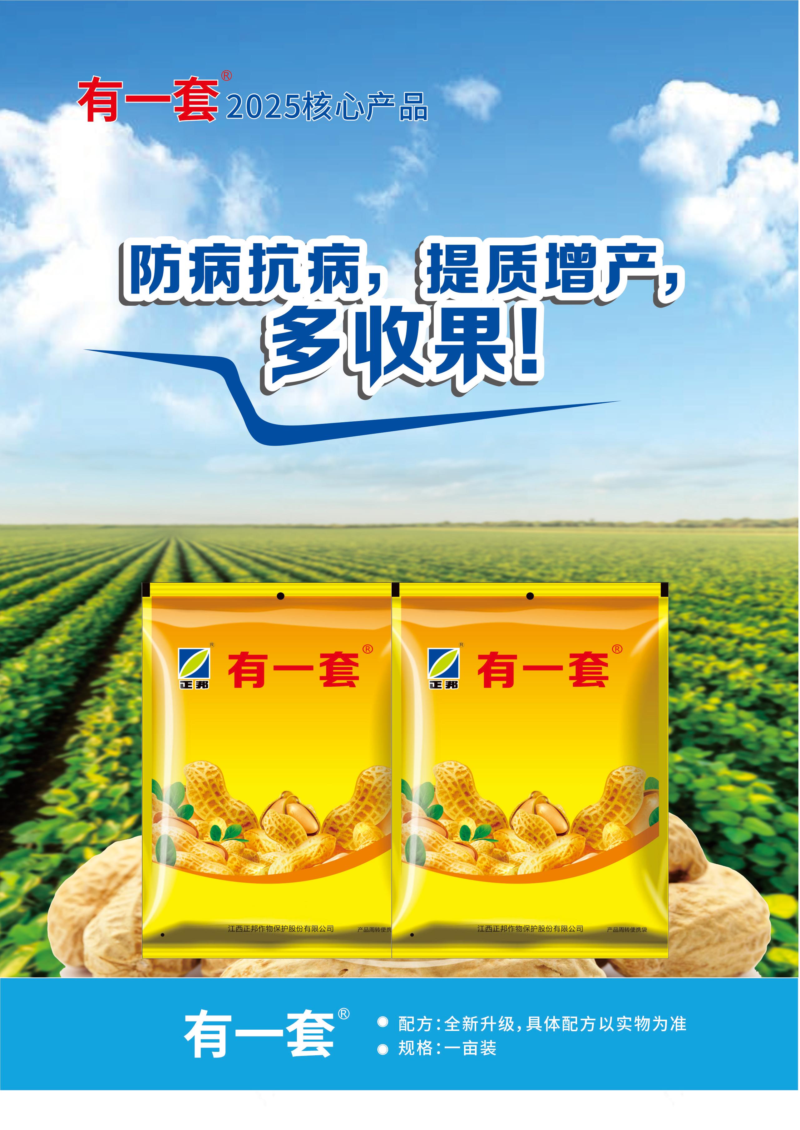 花生核心产品.jpg
